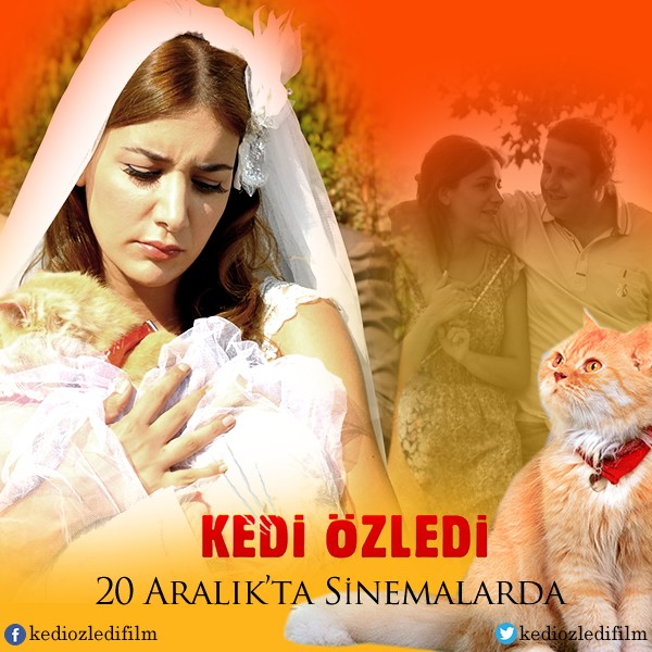 Kedi Özledi Fotoğrafları 14