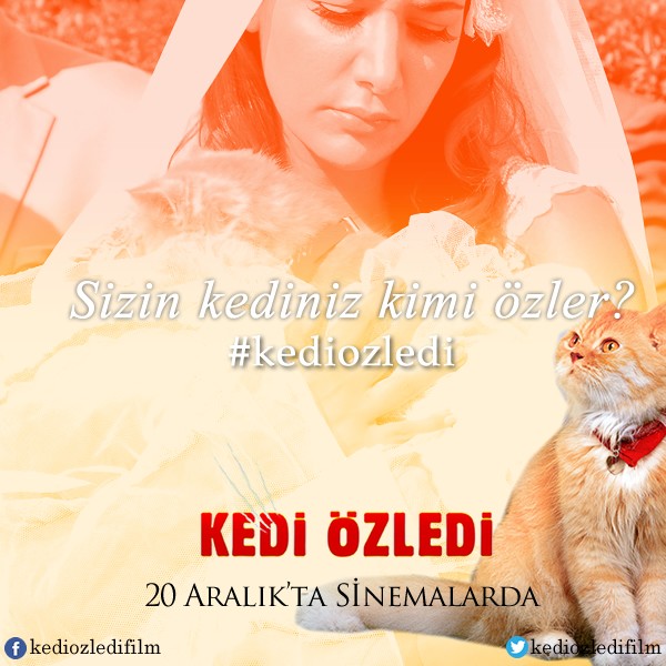 Kedi Özledi Fotoğrafları 25