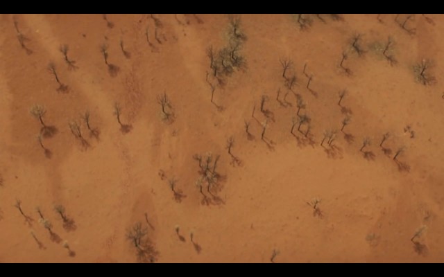 Çöldeki İzler Fotoğrafı