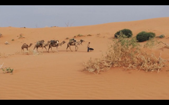 Çöldeki İzler Fotoğrafı