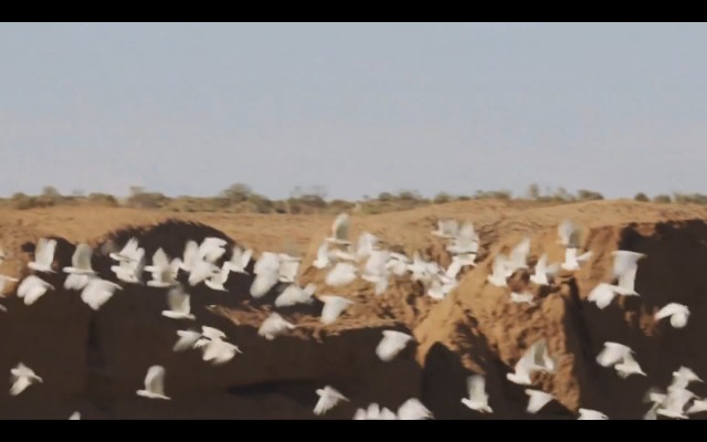 Çöldeki İzler Fotoğrafı