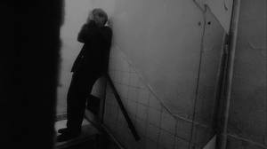 Fallen Angels Fotoğrafı