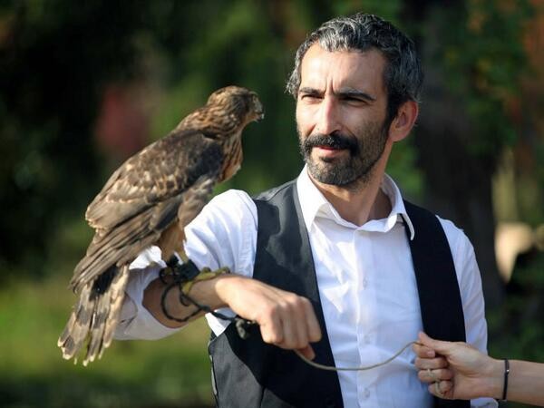 Karınca Kapanı Fotoğrafı