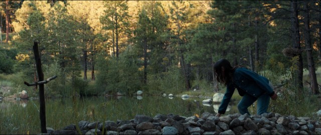 Logan Fotoğrafı