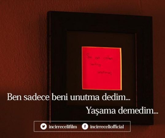 İncir Reçeli 2 Fotoğrafı