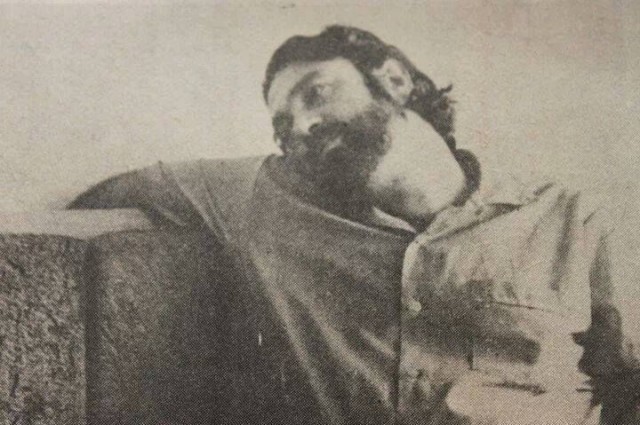 Kurmaca Dünyanın İpliğinde Bir Koza Fotoğrafı