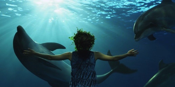 Dear Dolphin Fotoğrafı