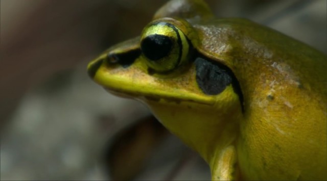 Madagaskar Fotoğrafları 14