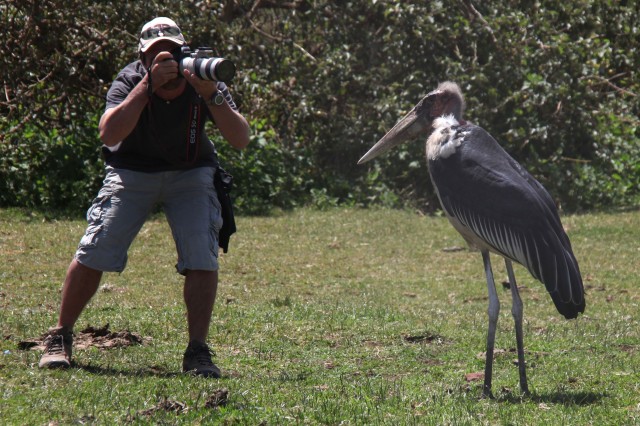 Safari Macerası Fotoğrafı