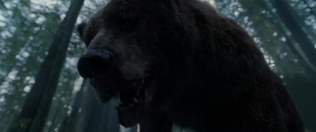 Diriliş Fotoğrafı