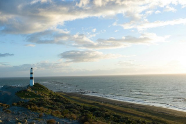 Hayat Işığım Fotoğrafı