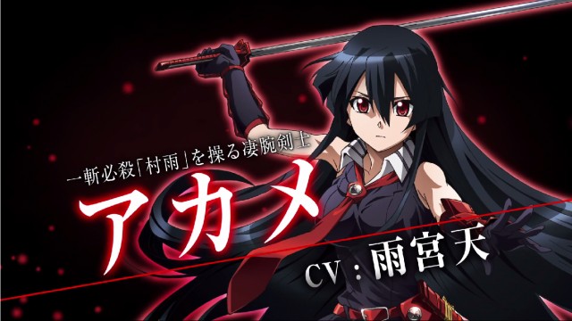 Akame ga Kill! Fotoğrafları 4