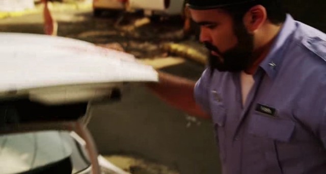 Falcon Rising Fotoğrafı