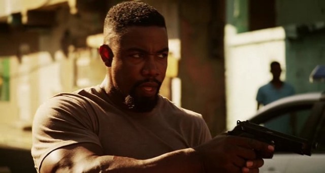 Falcon Rising Fotoğrafı