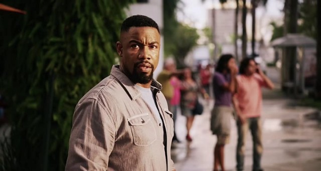 Falcon Rising Fotoğrafı