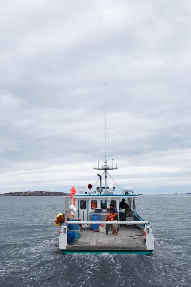Yaşamın Kıyısında Fotoğrafı
