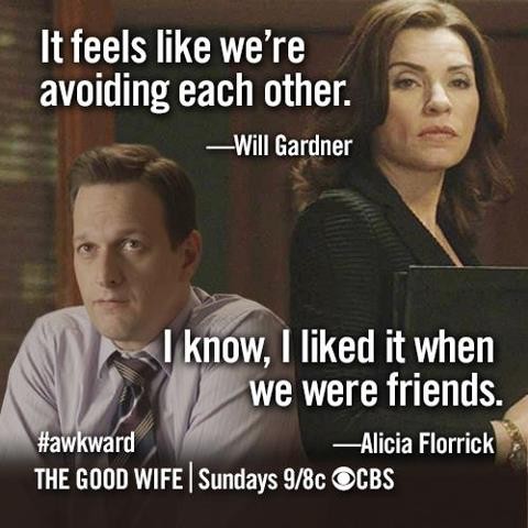 The Good Wife Fotoğrafı