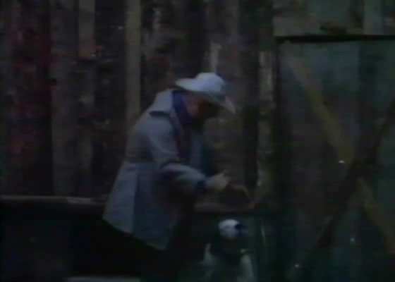 Korkusuz Kaptan Swing Fotoğrafı