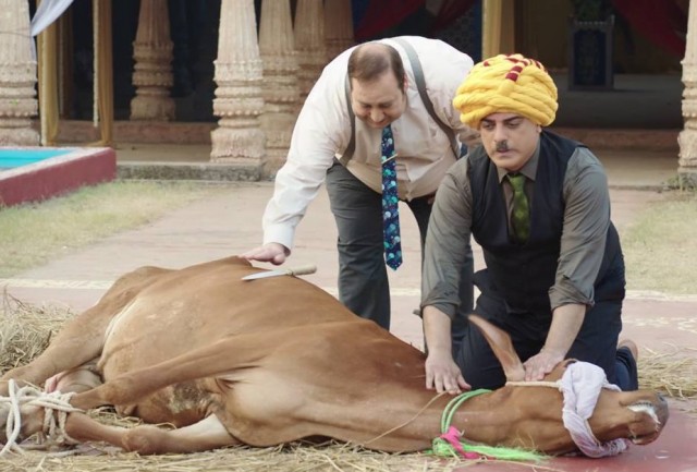 Bir Baba Hindu Fotoğrafı
