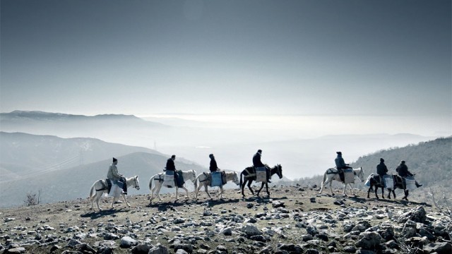 Siyah Karga Fotoğrafı