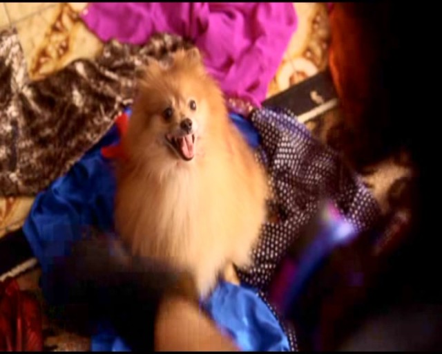 Başka Bir Külkedisi Masalı Fotoğrafı