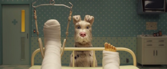 Köpek Adası Fotoğrafı