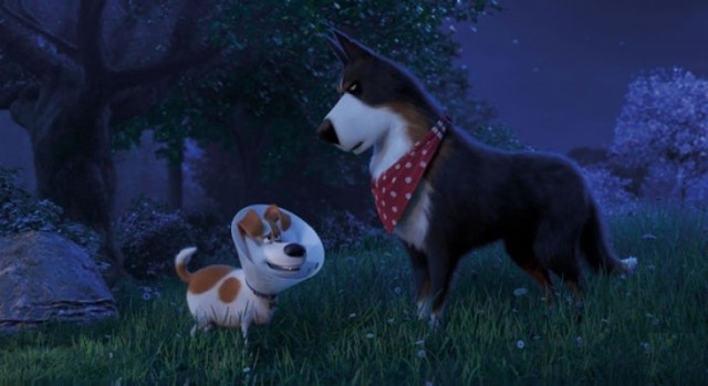 Evcil Hayvanların Gizli Yaşamı 2 Fotoğrafı