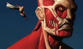 One Punch Man Fotoğrafı