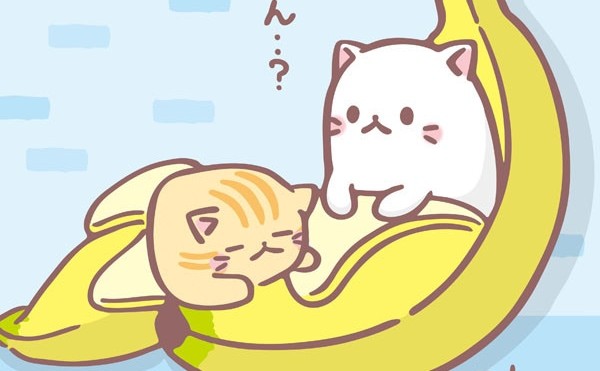 Bananya Fotoğrafları 5