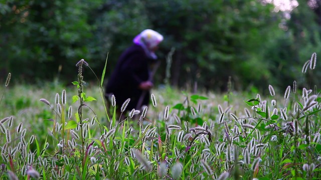 Gelin Fotoğrafları 5