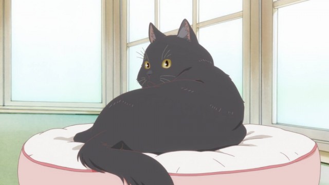 Kanojo to Kanojo no Neko: Everything Flows Fotoğrafı