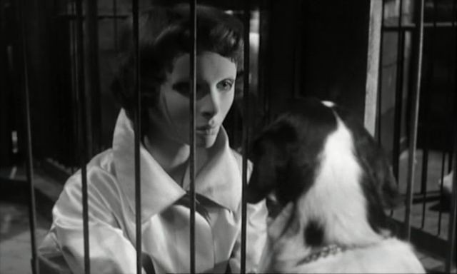 Les yeux sans visage Fotoğrafı