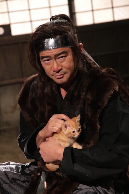 Neko Ninja Fotoğrafı