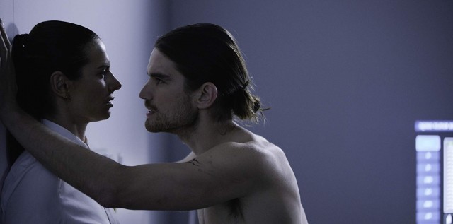 The Wheel Fotoğrafı