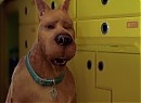 Scooby Doo 2: Canavarlar Kaçtı Fotoğrafı