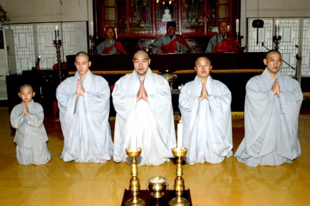 Hi! Dharma 2: Showdown in Seoul Fotoğrafı