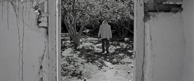 Akyrky koch Fotoğrafı