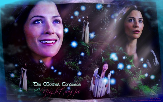 Legend Of The Seeker Fotoğrafı