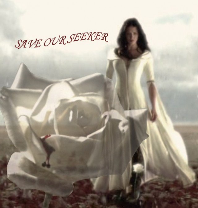 Legend Of The Seeker Fotoğrafı