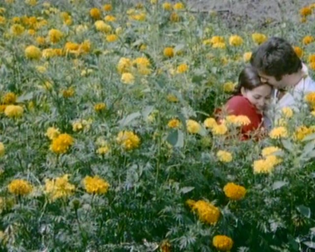Devlerin Aşkı Fotoğrafı