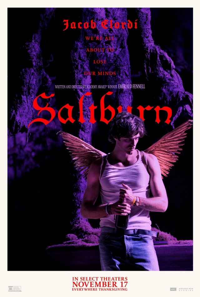 Saltburn Fotoğrafı