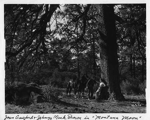 Montana Mehtabı Fotoğrafı