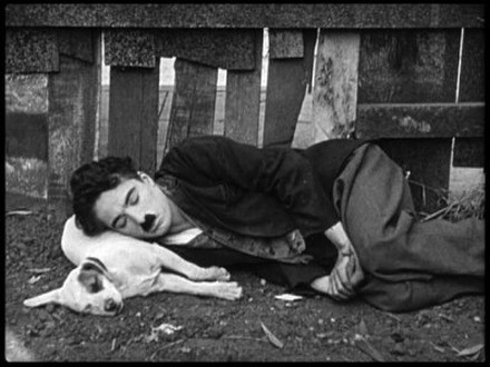 A Dog's Life Fotoğrafı