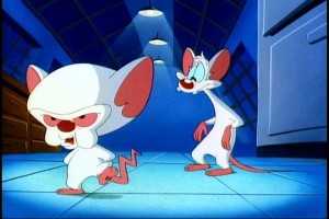 Pinky And The Brain Fotoğrafı