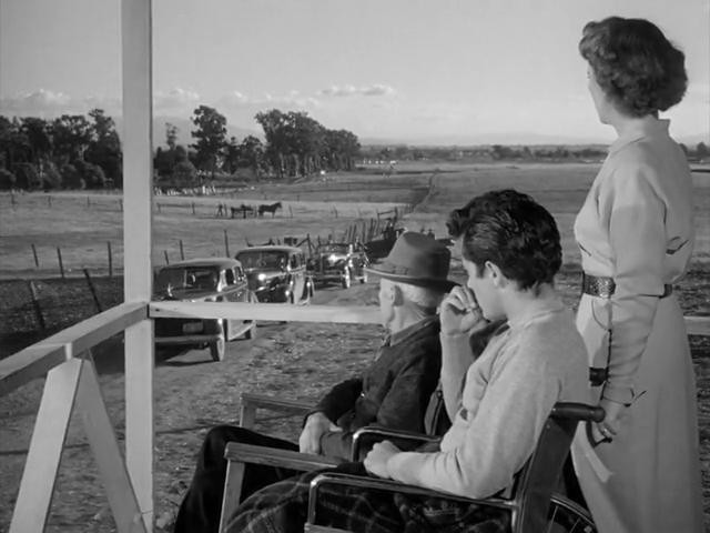 Kral'ın Bütün Adamları Fotoğrafı