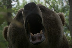 Grizzly Rage Fotoğrafları 3