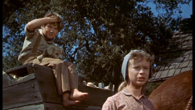 Old Yeller Fotoğrafı