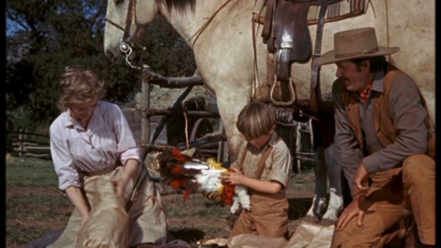 Old Yeller Fotoğrafı