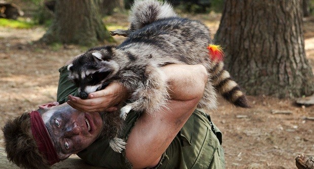 Tüylü Bela Fotoğrafı