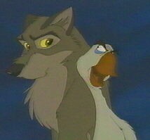 Balto Fotoğrafı
